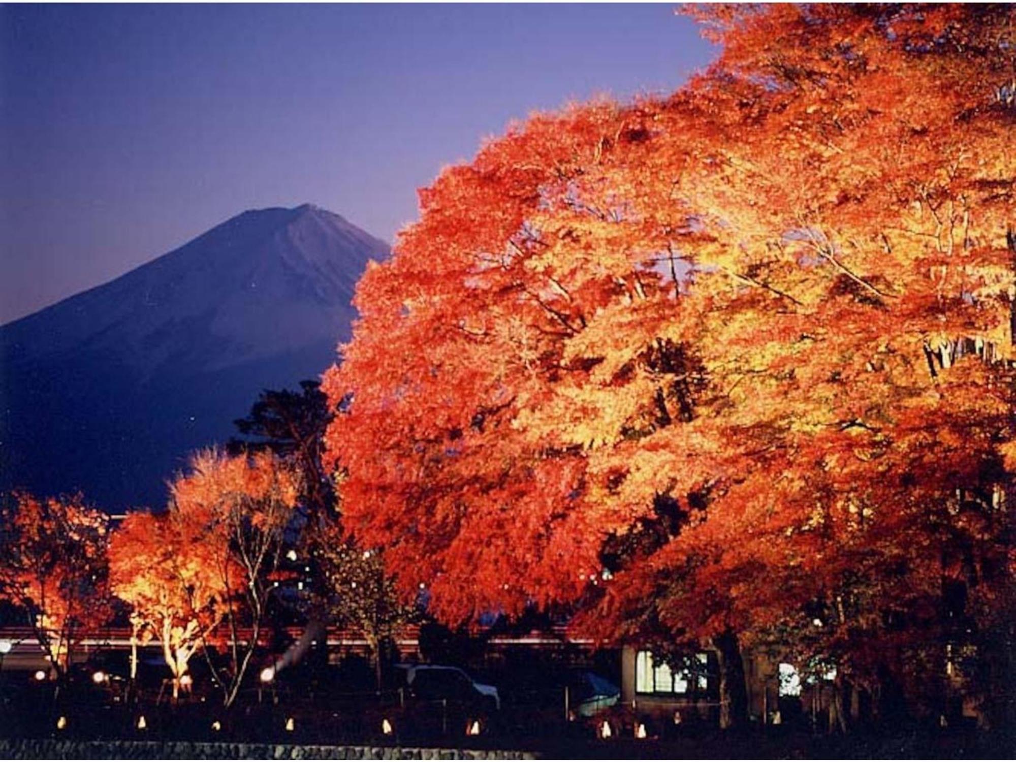 Fujisan Resort Hotel - Vacation Stay 57971V Fujikawaguchiko Buitenkant foto